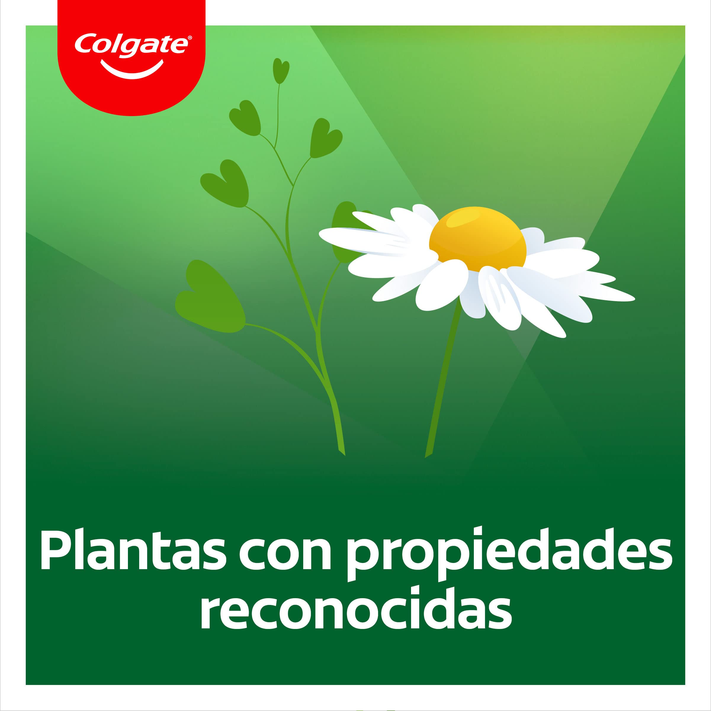 colgate-herbal-zahnpasta-12-x-75-ml-eukalyptus-fluorid image 7