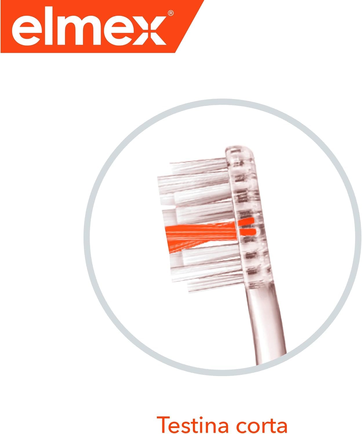 elmex-interx-tiefenreinigung-zahnb-rste-mittel-orange image 3