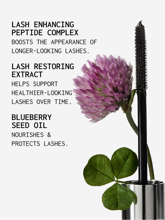 xlash-lash-brow-booster-duo-mascara-set-mittelbraun image 6