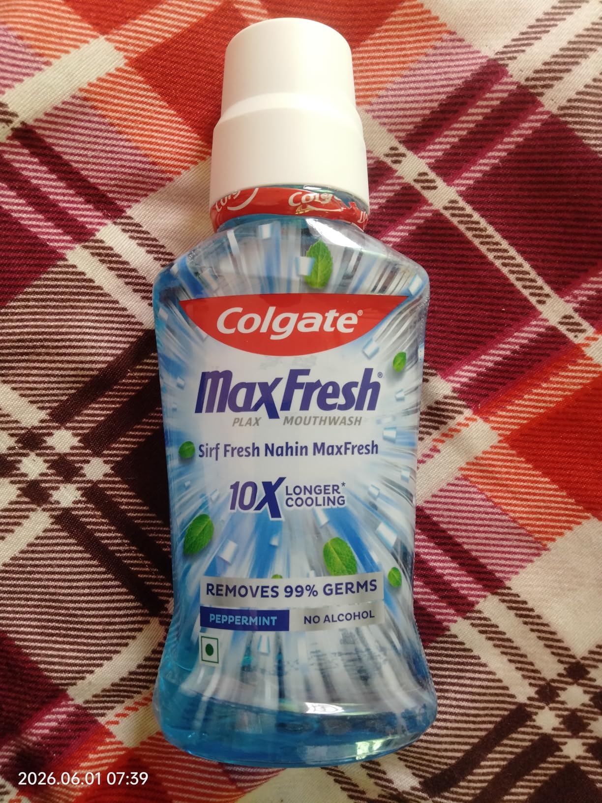 Frische Minze