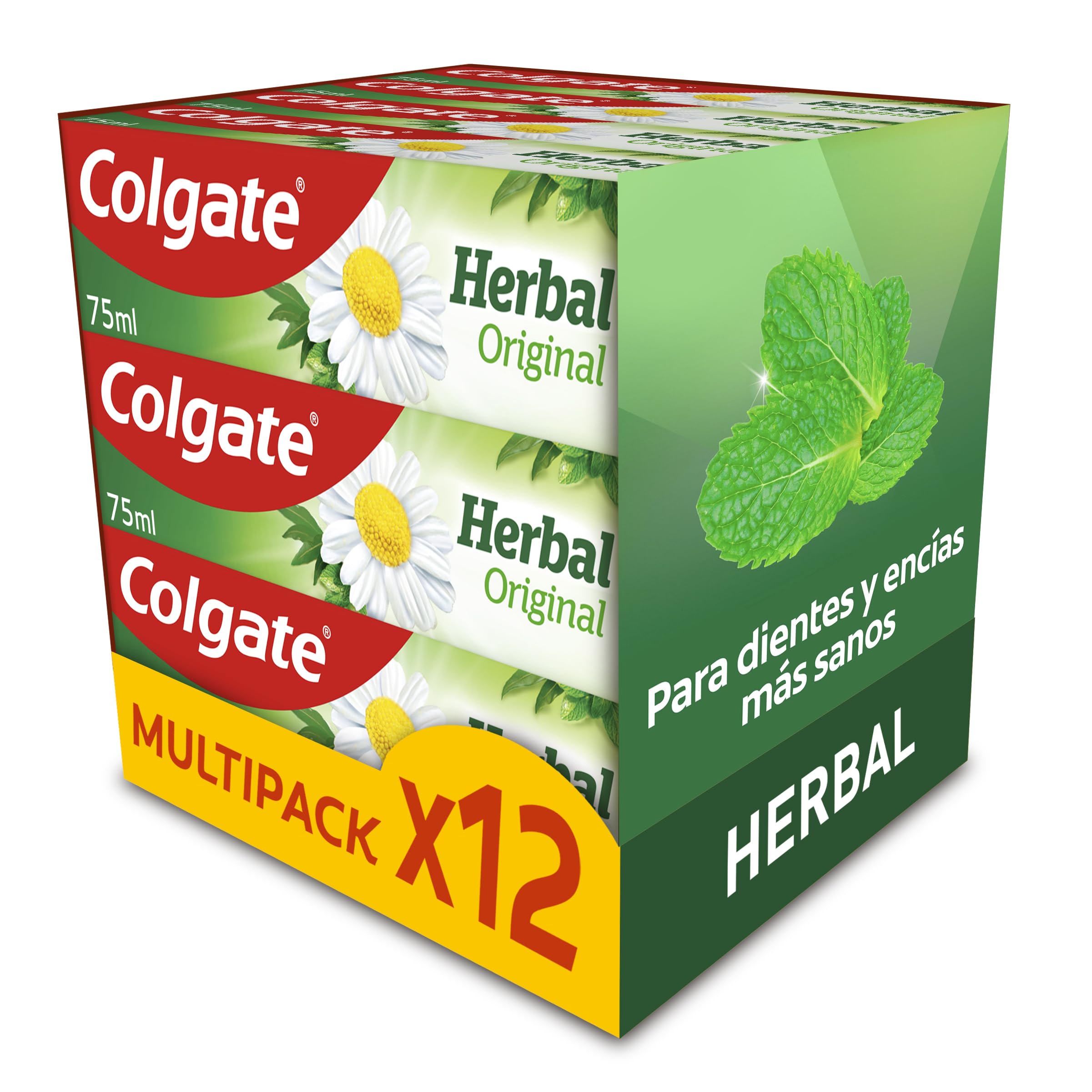 colgate-herbal-zahnpasta-12-x-75-ml-eukalyptus-fluorid image 1
