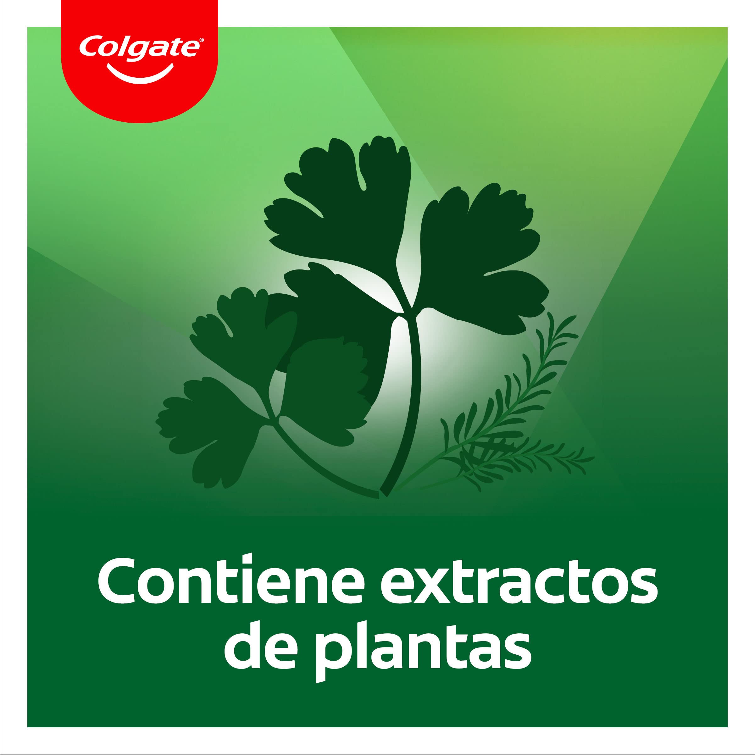 colgate-herbal-zahnpasta-12-x-75-ml-eukalyptus-fluorid image 6