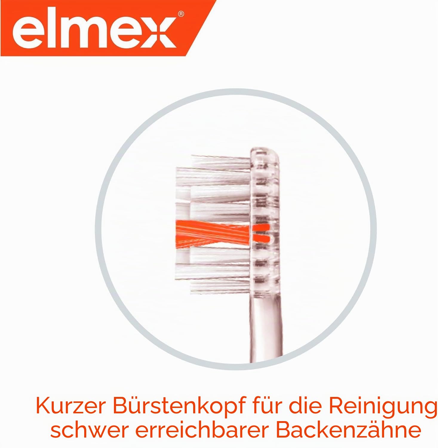 elmex-interx-tiefenreinigung-zahnb-rste-mittel-orange image 5